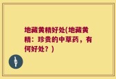 地藏黄精好处(地藏黄精：珍贵的中草药，有何好处？)