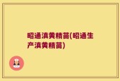 昭通滇黄精苗(昭通生产滇黄精苗)