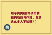 知子肉黄精(知子肉黄精的功效与作用，竟然这么多人不知道？)