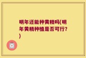 明年还能种黄精吗(明年黄精种植是否可行？)