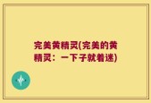 完美黄精灵(完美的黄精灵：一下子就着迷)