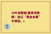 小叶滇黄精(重现滇黄精：浙江“黄金水果”不停驻。)