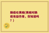 肠癌吃黄精(黄精对肠癌有益作用，你知道吗？)