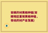 安顺药材黄精种植(安顺地区重视黄精种植，带动药材产业发展)