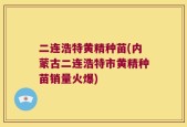 二连浩特黄精种苗(内蒙古二连浩特市黄精种苗销量火爆)