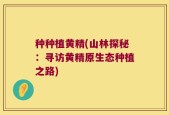 种种植黄精(山林探秘：寻访黄精原生态种植之路)