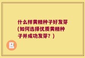 什么样黄精种子好发芽(如何选择优质黄精种子并成功发芽？)