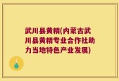 武川县黄精(内蒙古武川县黄精专业合作社助力当地特色产业发展)