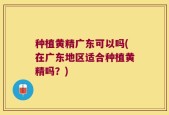 种植黄精广东可以吗(在广东地区适合种植黄精吗？)