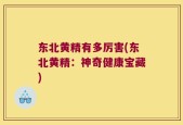 东北黄精有多厉害(东北黄精：神奇健康宝藏)