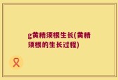 g黄精须根生长(黄精须根的生长过程)