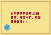 云南黄精的图片(云南黄精：神奇中药，助您健康长寿！)