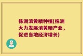 株洲滇黄精种植(株洲大力发展滇黄精产业，促进当地经济增长)