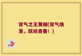 肾气之王黄精(肾气焕发，跃动青春！)