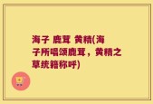 海子 鹿茸 黄精(海子所唱颂鹿茸，黄精之草统籍称呼)