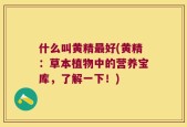 什么叫黄精最好(黄精：草本植物中的营养宝库，了解一下！)