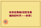 秋天挖黄精(挖野生黄精的好时节——秋季)