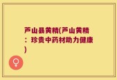 芦山县黄精(芦山黄精：珍贵中药材助力健康)