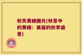 秋天黄精图片(秋景中的黄精：美丽的秋季盛景)