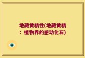地藏黄精性(地藏黄精：植物界的感动化石)