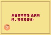 桑葚黄精菊花(桑黄菊精，营养又美味)