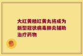 大红黄精红黄丸将成为新型冠状病毒肺炎辅助治疗药物
