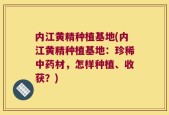 内江黄精种植基地(内江黄精种植基地：珍稀中药材，怎样种植、收获？)