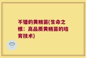 不错的黄精苗(生命之根：高品质黄精苗的培育技术)