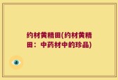 约材黄精田(约材黄精田：中药材中的珍品)