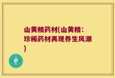 山黄精药材(山黄精：珍稀药材再现养生风潮)