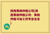 陕西黄精种植公司(陕西黄精种植公司：黄精种植与加工的专业企业)