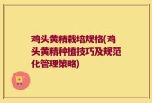 鸡头黄精栽培规格(鸡头黄精种植技巧及规范化管理策略)
