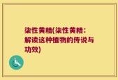 柒性黄精(柒性黄精：解读这种植物的传说与功效)