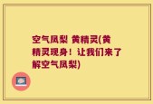 空气凤梨 黄精灵(黄精灵现身！让我们来了解空气凤梨)