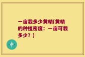 一亩栽多少黄精(黄精的种植密度：一亩可栽多少？)