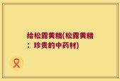 给松露黄精(松露黄精：珍贵的中药材)