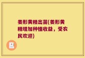 姜形黄精出苗(姜形黄精增加种植收益，受农民欢迎)