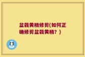 盆栽黄精修剪(如何正确修剪盆栽黄精？)