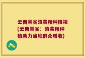 云南景谷滇黄精种植视(云南景谷：滇黄精种植助力当地群众增收)