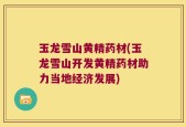 玉龙雪山黄精药材(玉龙雪山开发黄精药材助力当地经济发展)
