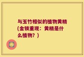 与玉竹相似的植物黄精(金锁重现：黄精是什么植物？)
