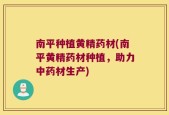 南平种植黄精药材(南平黄精药材种植，助力中药材生产)