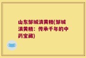 山东邹城滇黄精(邹城滇黄精：传承千年的中药宝藏)