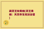 藏灵芝和黄精(灵芝黄精：天然养生双剑合璧)