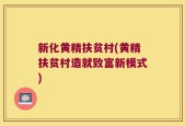 新化黄精扶贫村(黄精扶贫村造就致富新模式)