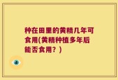 种在田里的黄精几年可食用(黄精种植多年后能否食用？)