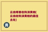 云南哪里收购滇黄精(云南收购滇黄精的最佳去处)