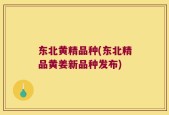 东北黄精品种(东北精品黄姜新品种发布)