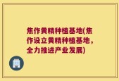 焦作黄精种植基地(焦作设立黄精种植基地，全力推进产业发展)