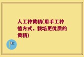 人工种黄精(用手工种植方式，栽培更优质的黄精)